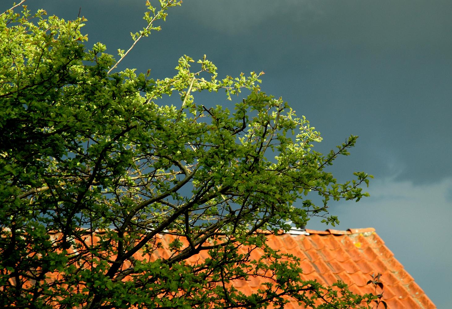 Torden himmel
