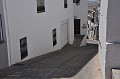 DSC_0220