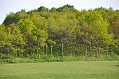 DSC_0111