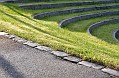 DSC_0116_cut