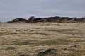 DSC_0016_edit
