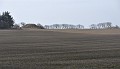 DSC_0022_cut