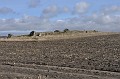 DSC_0029
