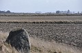 DSC_0033_cu