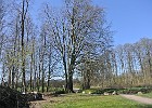 DSC 0970