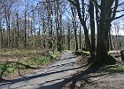 DSC 0971