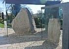 DSC 0996