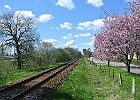 DSC 1001