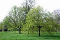 _DSC2073
