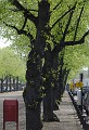 _DSC2098_cut