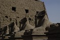 _DSC1580