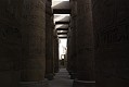 _DSC1588