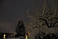 DSC_0220