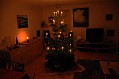 DSC_0228_dark
