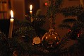 DSC_0238_dark