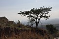 DSC_0766