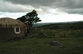 DSC_0007_copy2