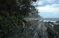 DSC_0084_edit