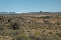 DSC_0198_udsnit