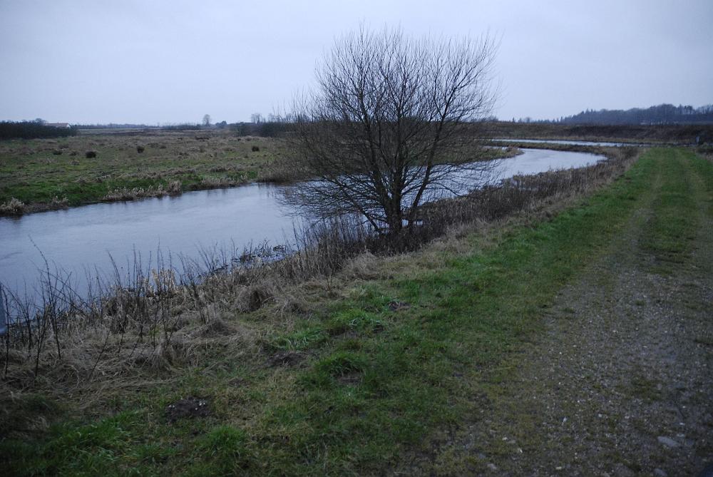 _DSC0330.JPG - Kongeå ved Lintrup.