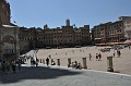 DSC_0317