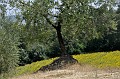 DSC_0360_e