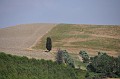 DSC_0389_e