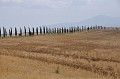 DSC_0394_e