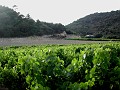 PROPIAC1