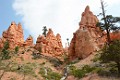 DSC_1149_k