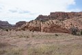 DSC_0798_l
