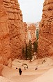 DSC_1078_ck