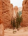 DSC_1081_lc