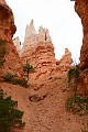 DSC_1101_lc