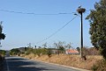 DSC_5469_c