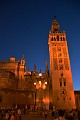 DSC_5642_m