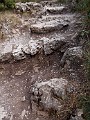 P9130388_k