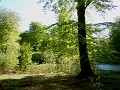 DSCN0826_edit