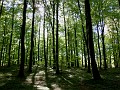 DSCN0831