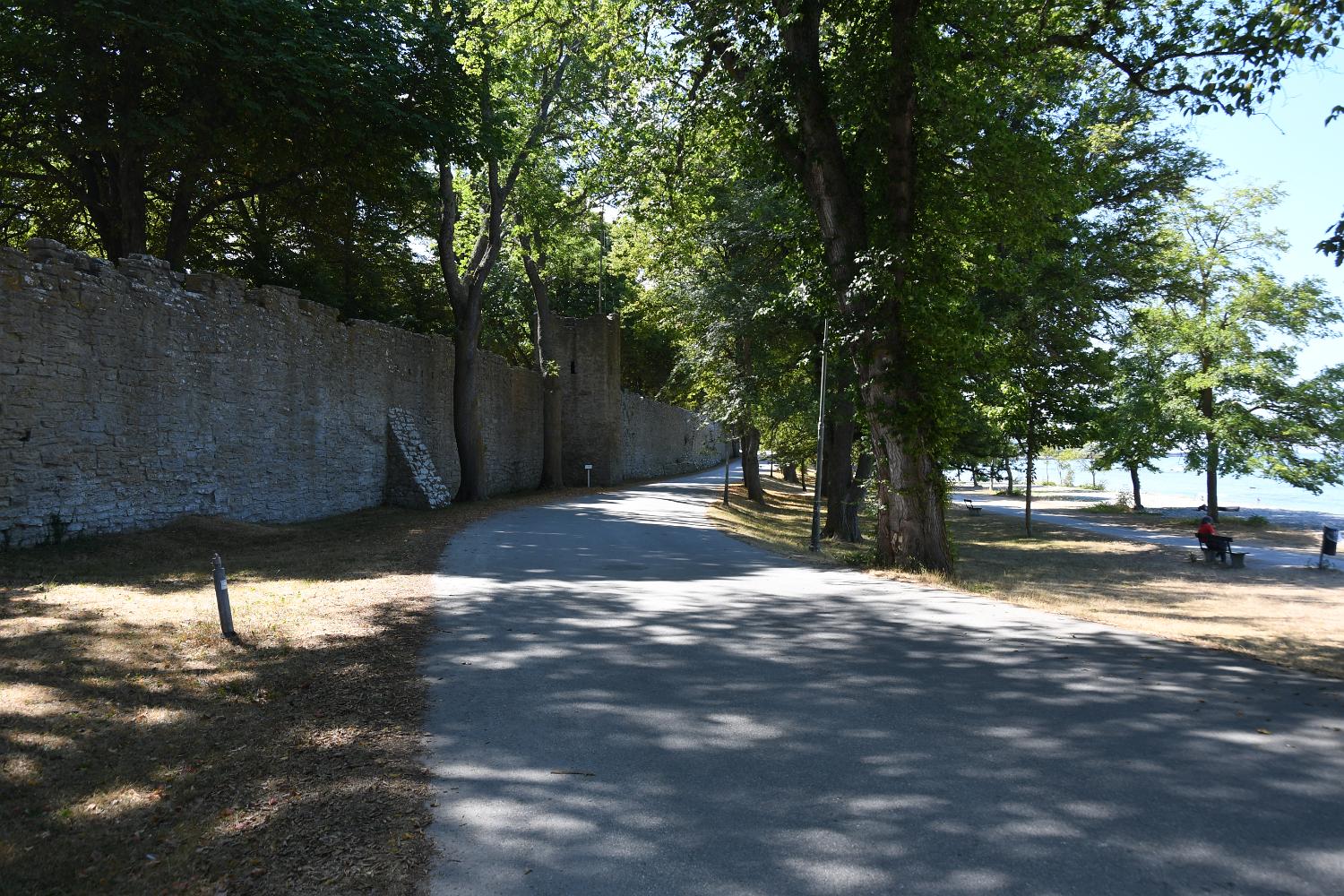 DSC 2010