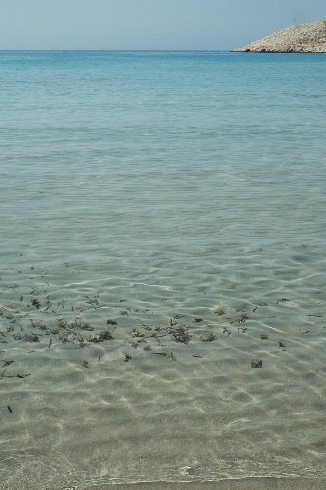 DSC 0094