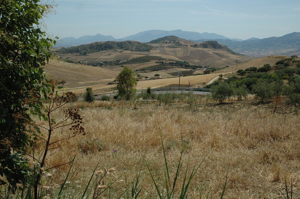 DSC_0138.JPG - Sicilia