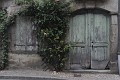 DSC_0484_l