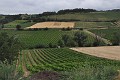DSC_0497_l