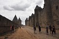 DSC_0508_l