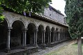 DSC_0538_l