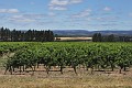 DSC_0550_l