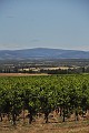 DSC_0552_l
