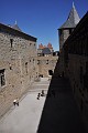 DSC_0560_l