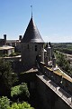 DSC_0561_l